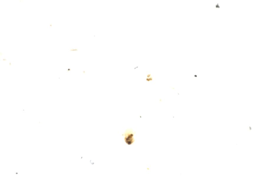 Image 111